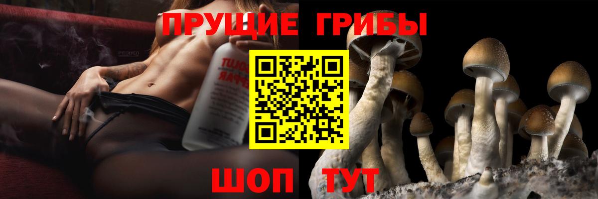 как найти   Псилоцибиновые грибы мухоморы  Вход с VPN  Галлюциногенные грибы прущие грибы  Сыктывкар 